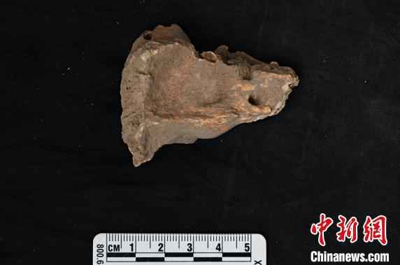 古DNA研究确认 福建及周边古南方人群是南岛语系人群祖先